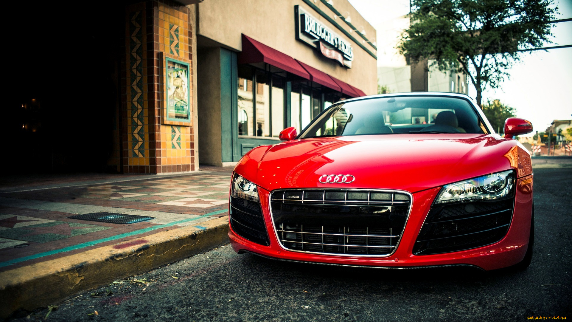 автомобили, audi, r8