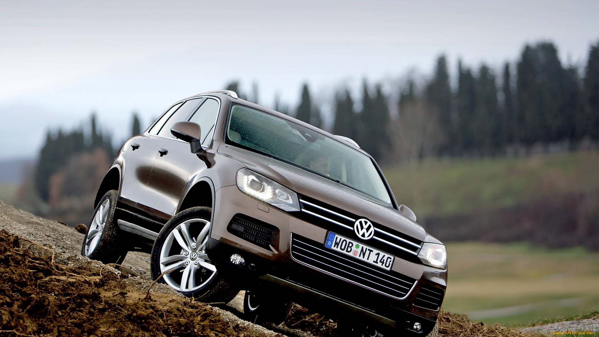 автомобили, volkswagen, vw