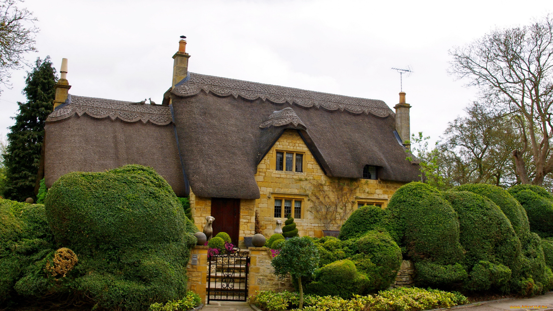 cornwall, англия, города, -, здания, , дома, дом, англия, cornwall, кусты, цветы, ландшафт