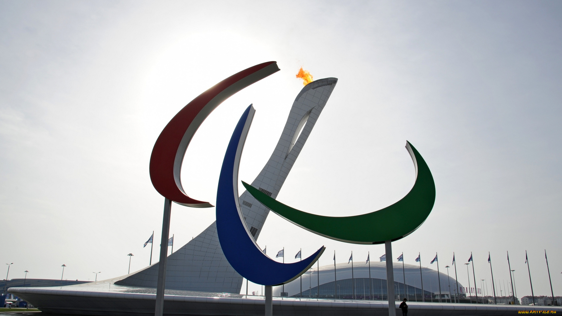 спорт, стадионы, сочи