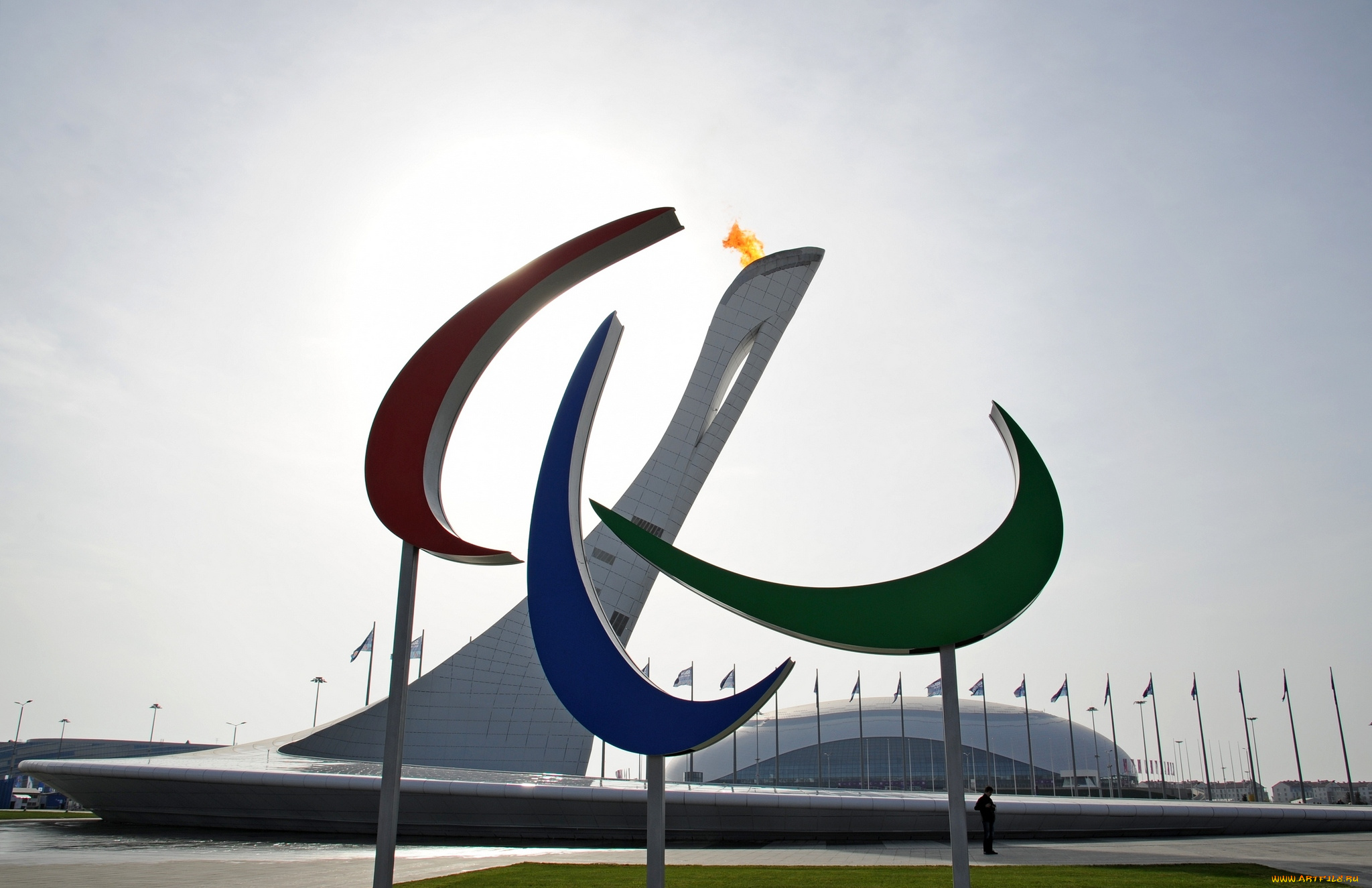 спорт, стадионы, сочи