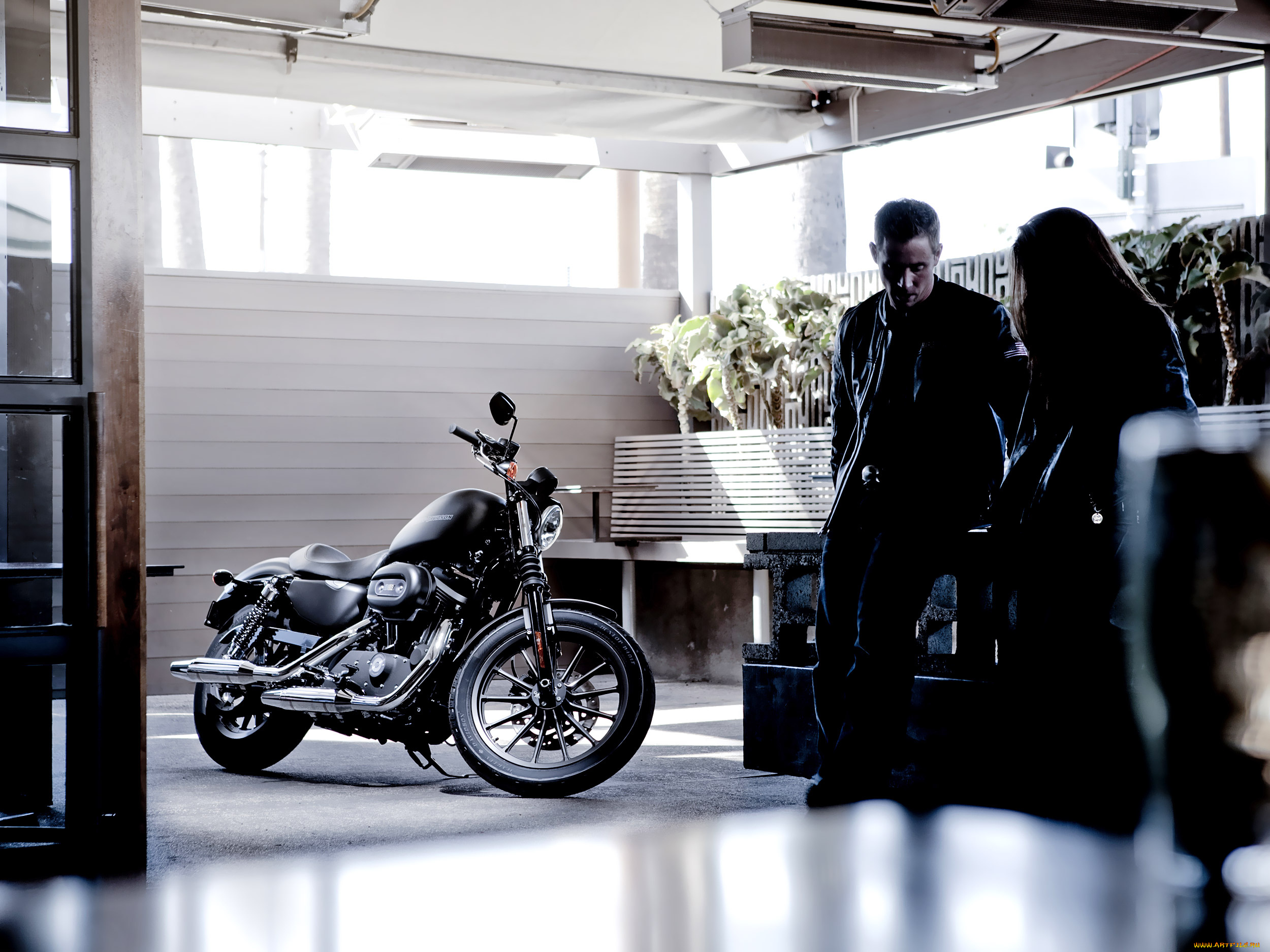 мотоциклы, harley-davidson, harley