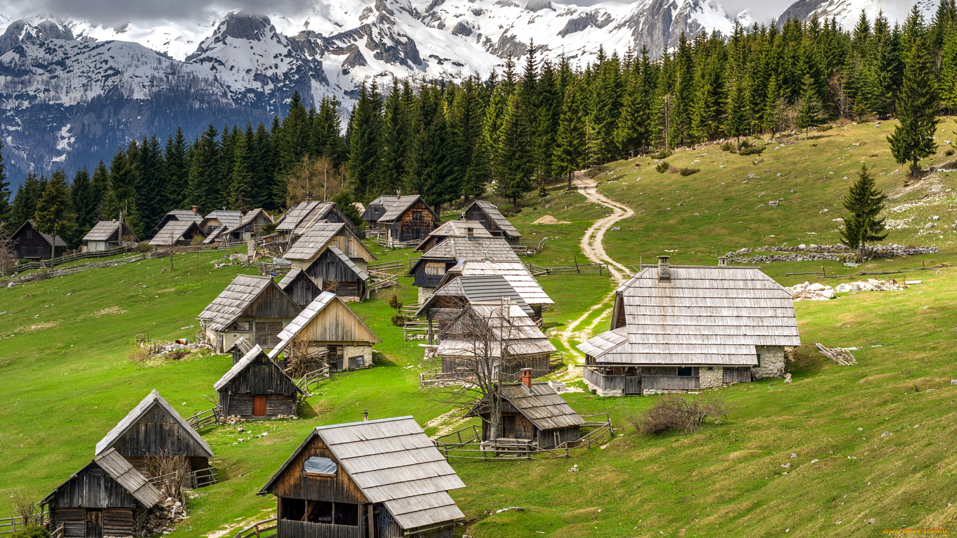 поклюка, словения, города, -, пейзажи, поклюка, словения, луга, дома, горы, ели
