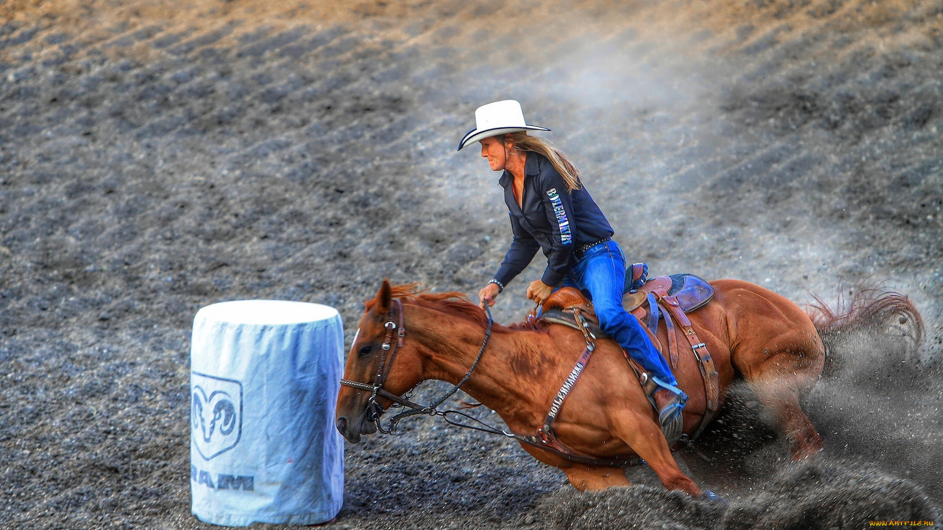 спорт, конный, спорт, родео