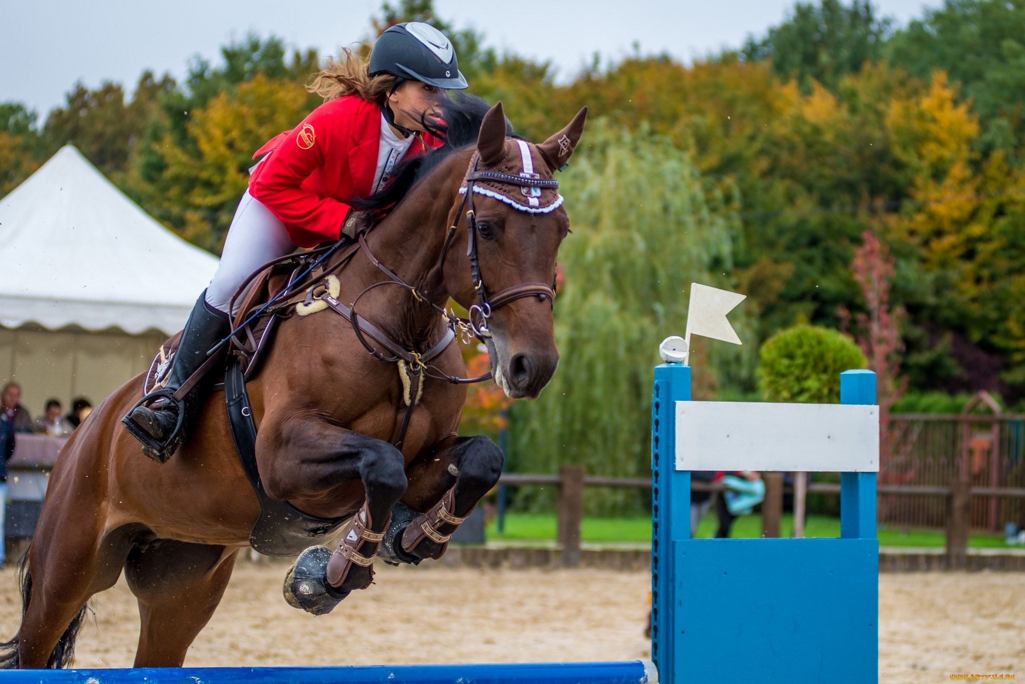 спорт, конный, спорт, ипподром, лошадь, жокей, скачки