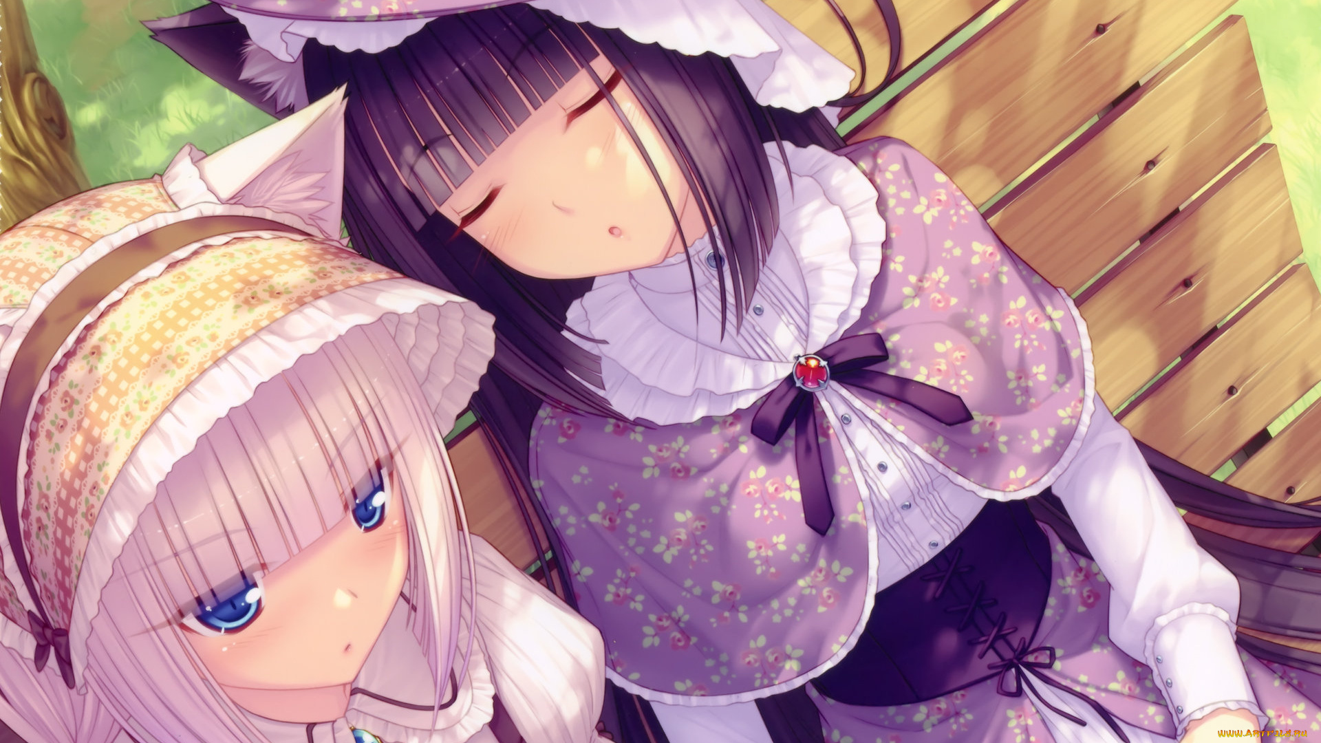 аниме, touhou, девушки, взгляд, фон