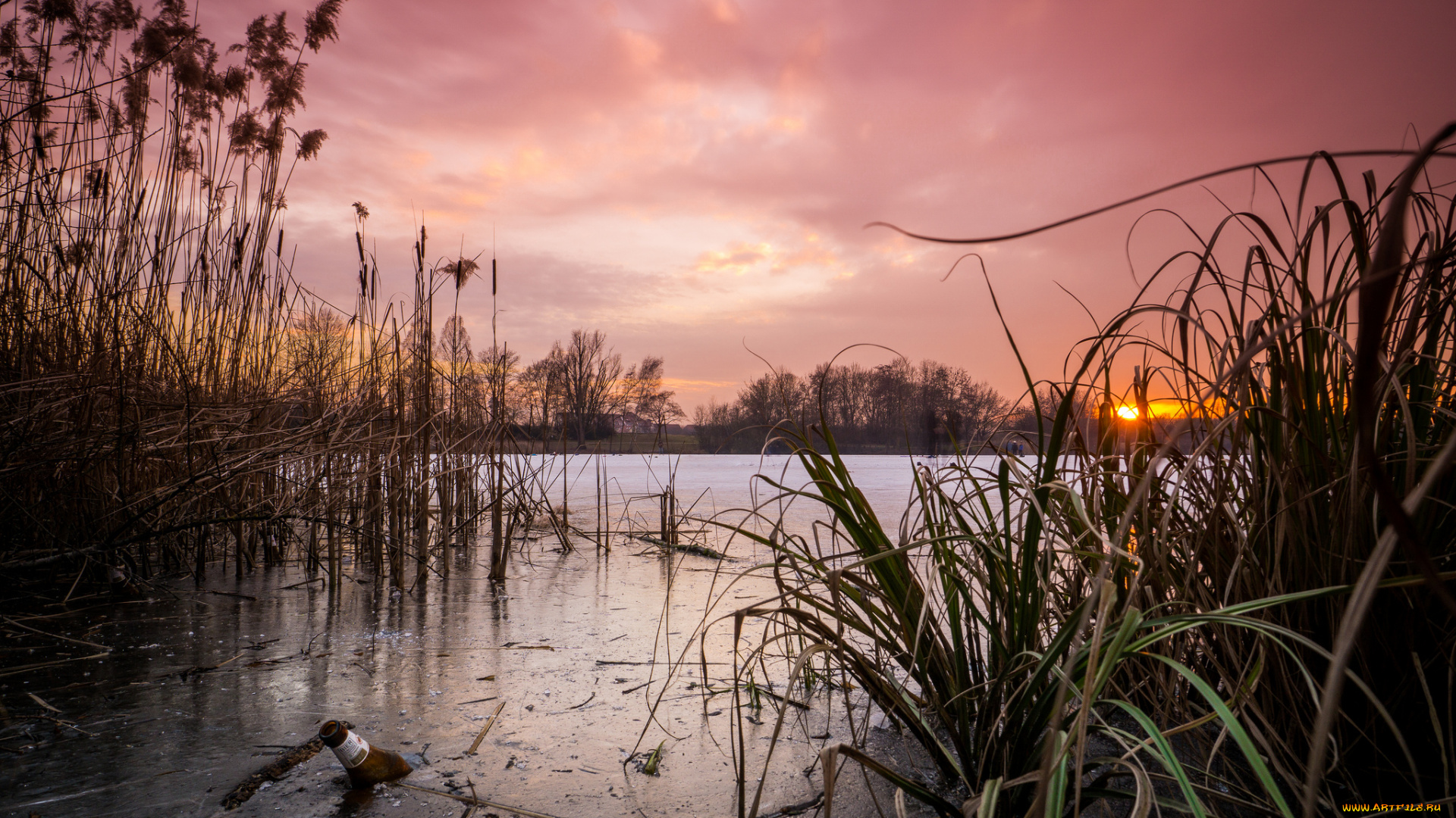 природа, реки, озера, лес, река