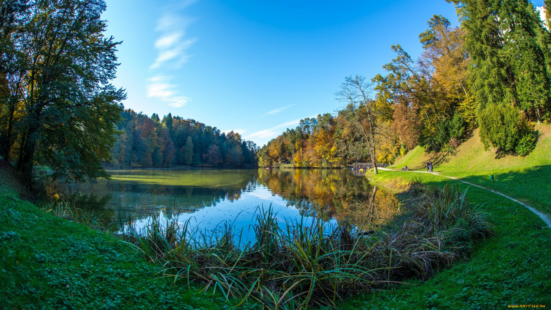 природа, реки, озера, лес, река