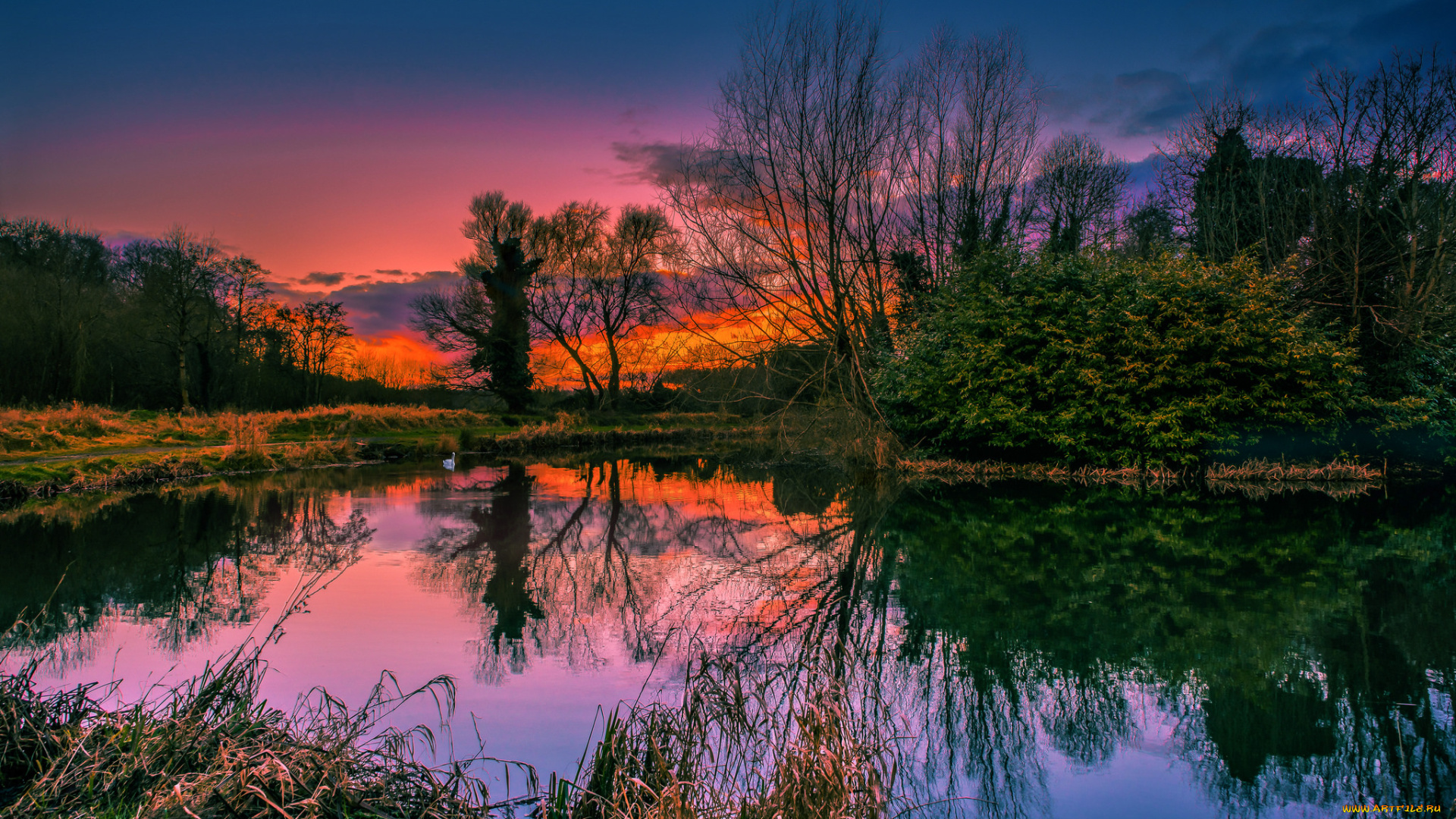 природа, реки, озера, лес, река