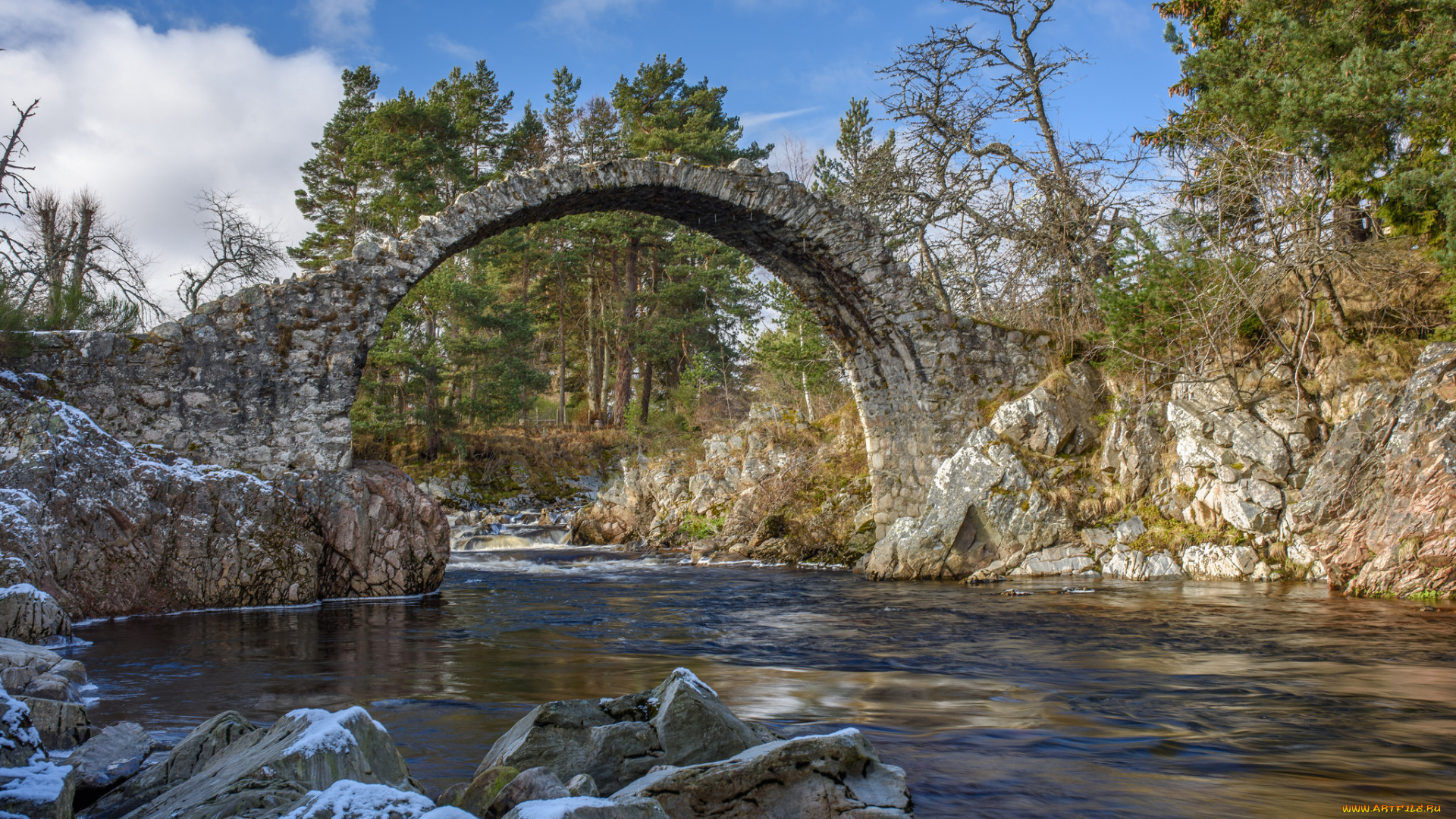 природа, реки, озера, река, лес
