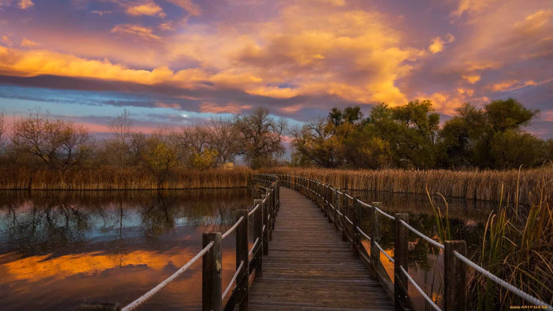 природа, реки, озера, река, лес