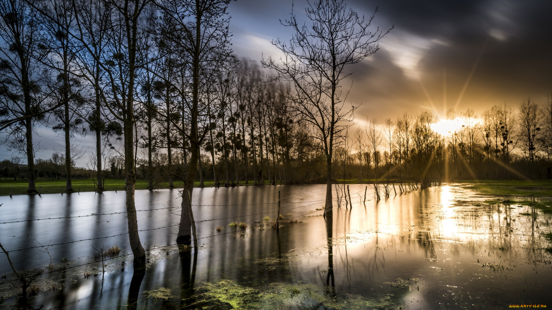 природа, реки, озера, река, лес