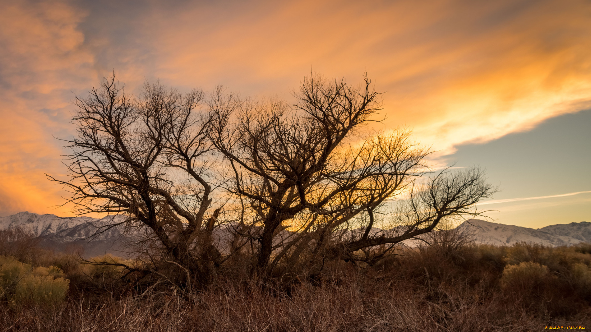 природа, восходы, закаты, рассвет
