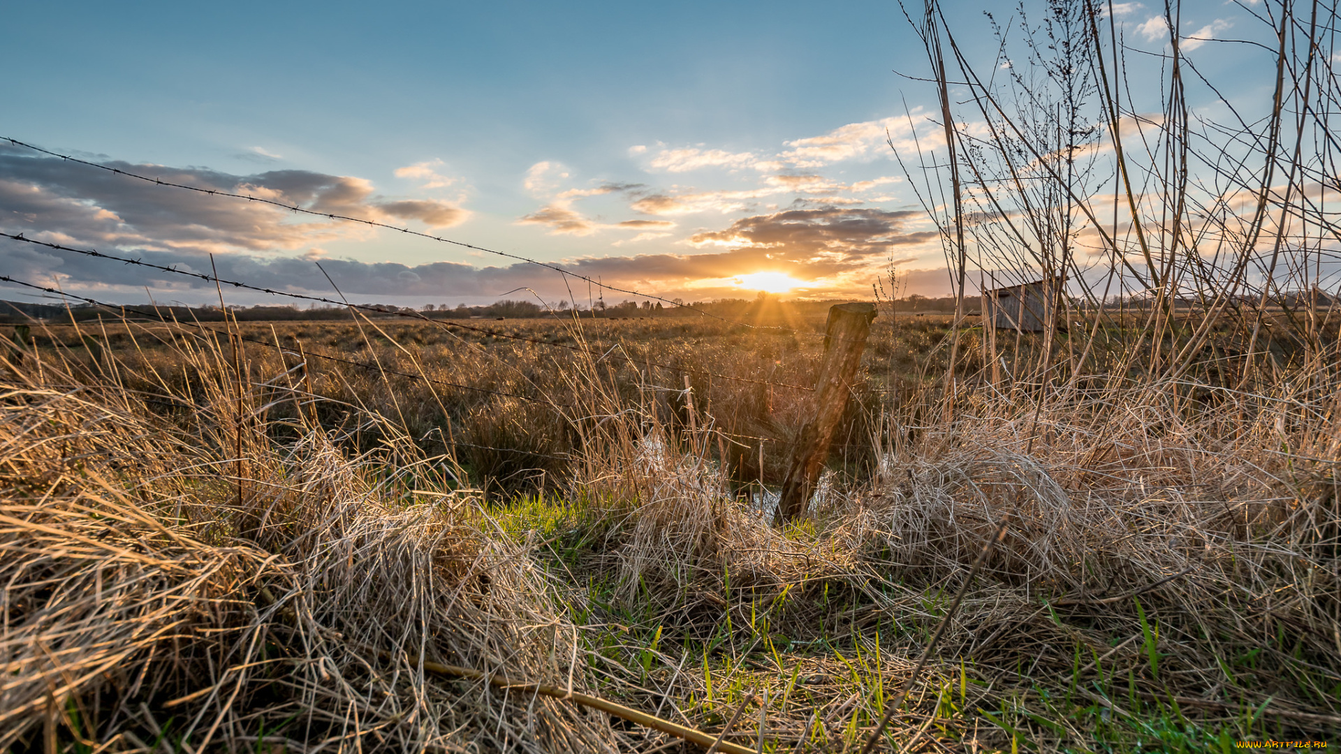 природа, восходы, закаты, рассвет