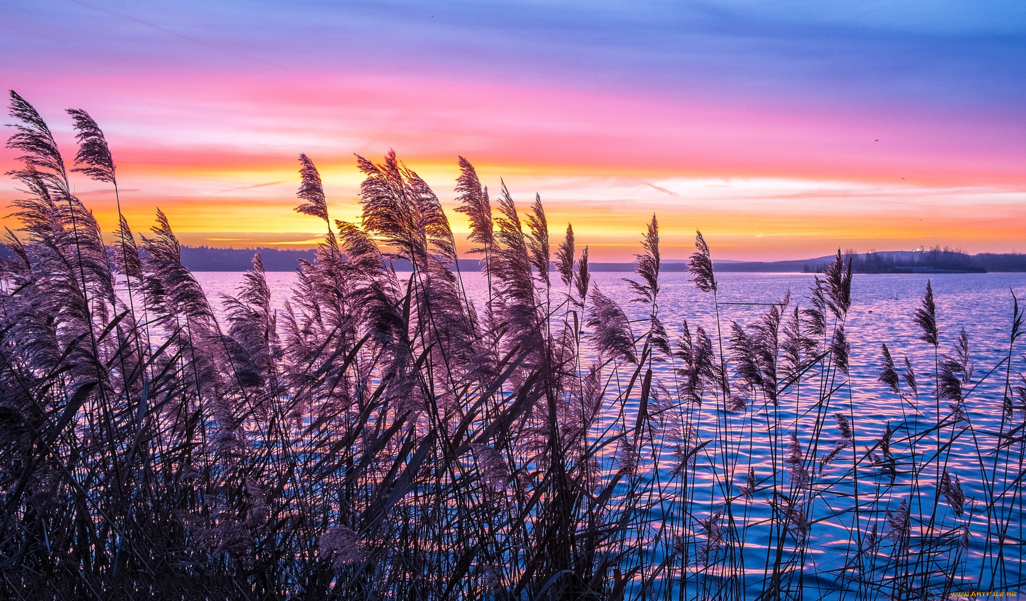 природа, реки, озера, река, лес