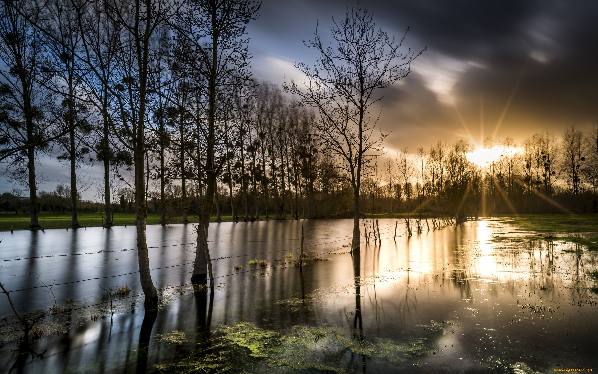 природа, реки, озера, река, лес