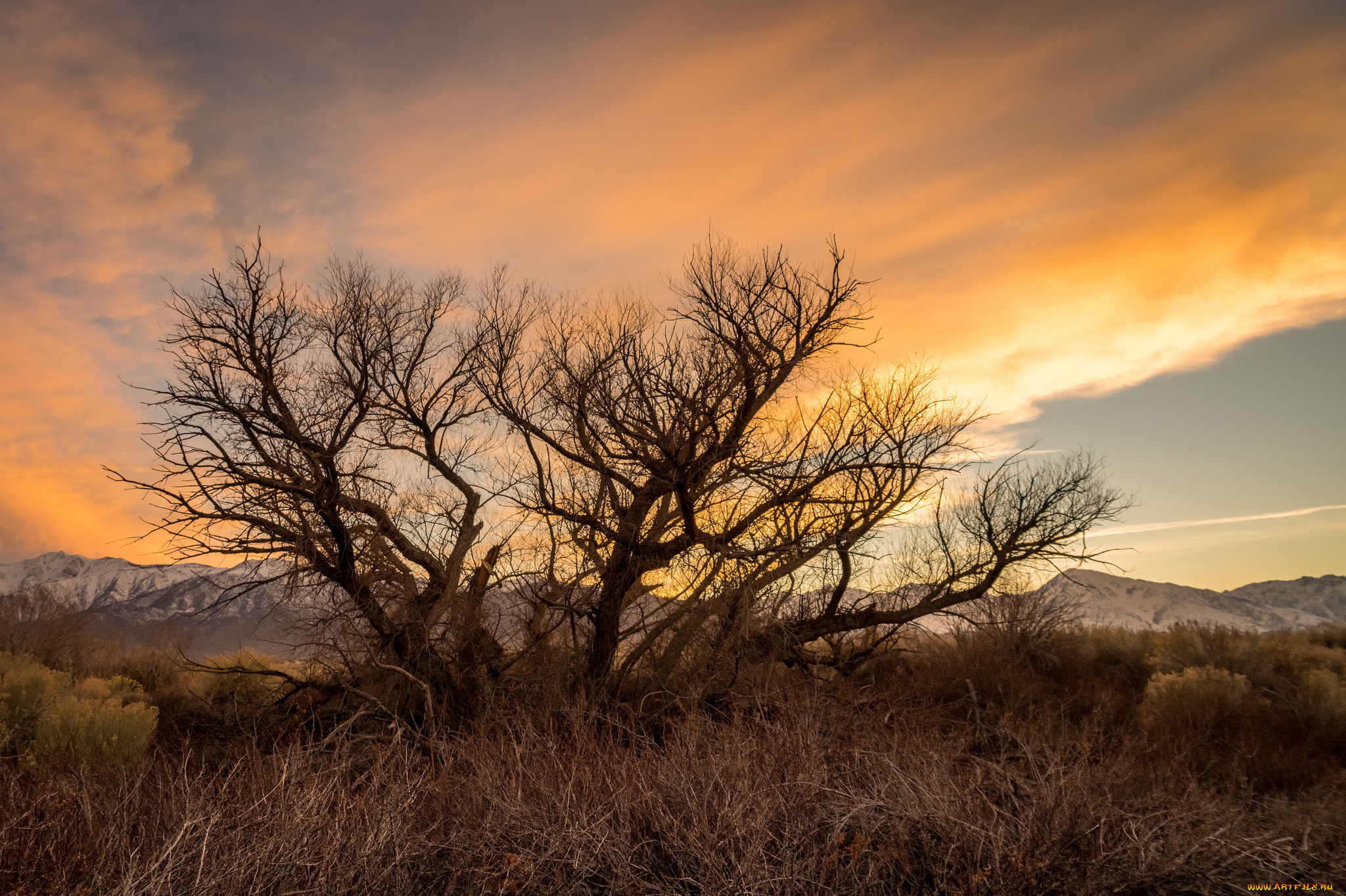 природа, восходы, закаты, рассвет