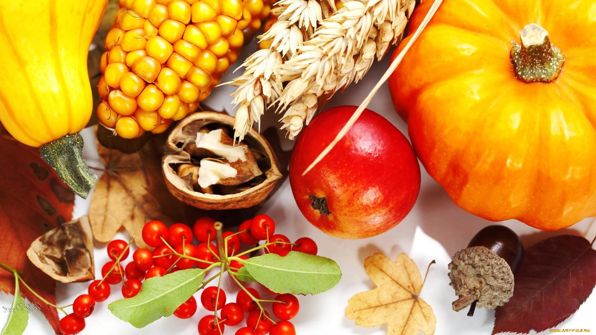 еда, фрукты, и, овощи, вместе, яблоко, кукуруза, тыква