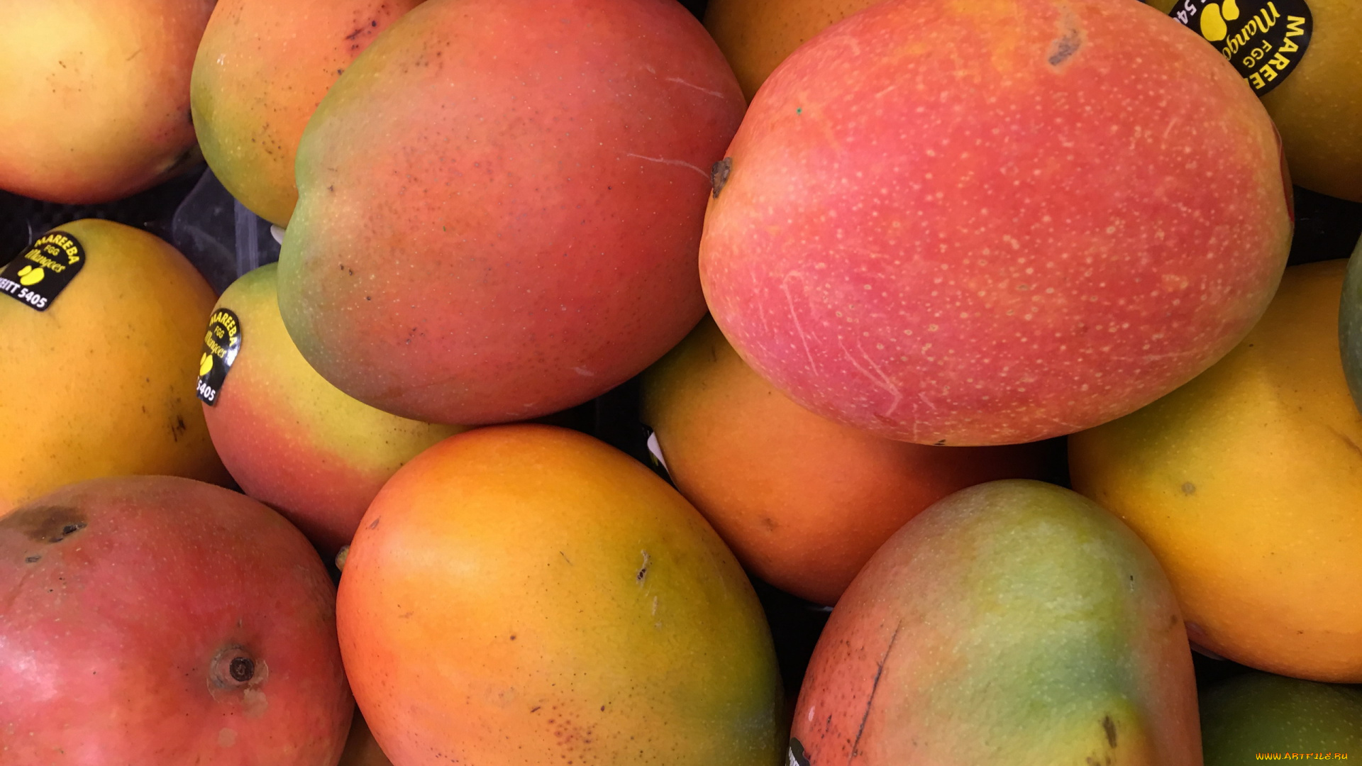 еда, манго, плоды