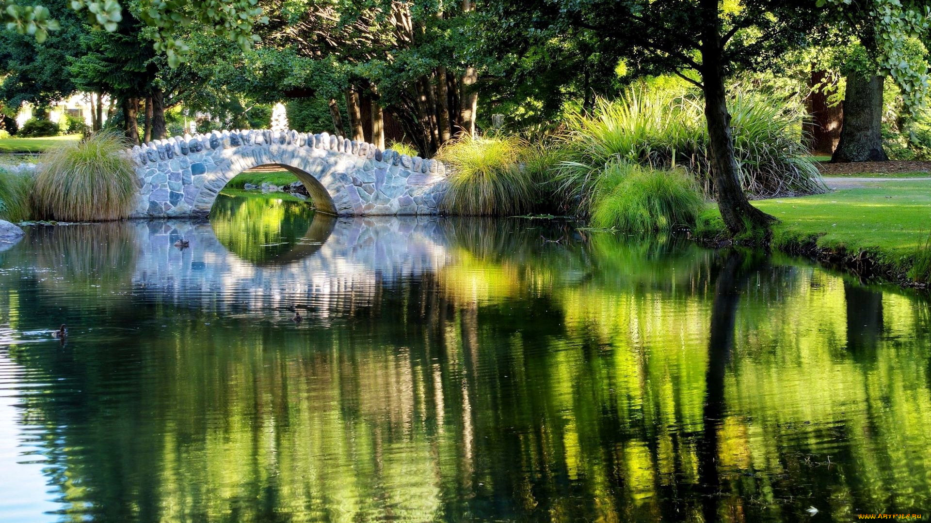 природа, парк, мостик