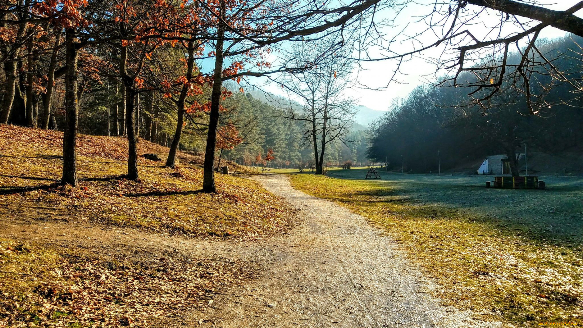 природа, парк, осень