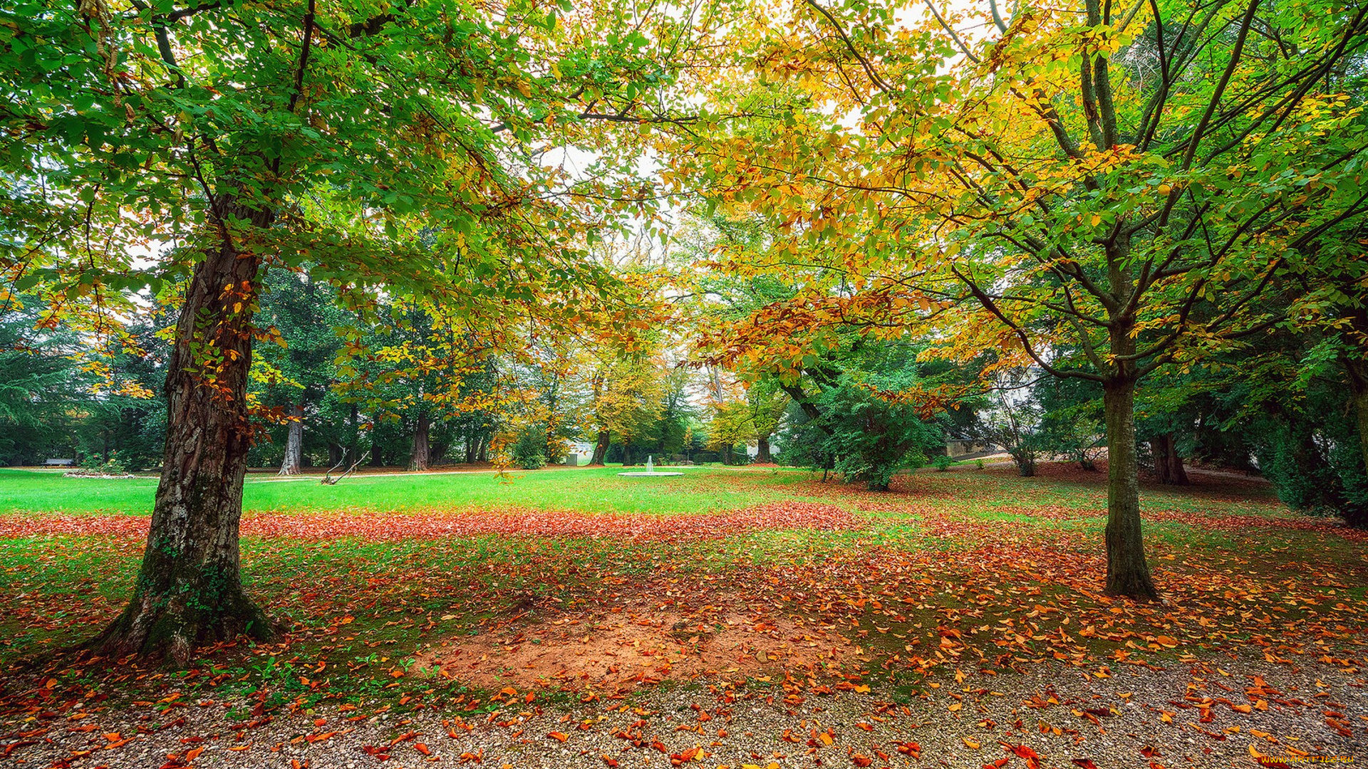 природа, парк, простор