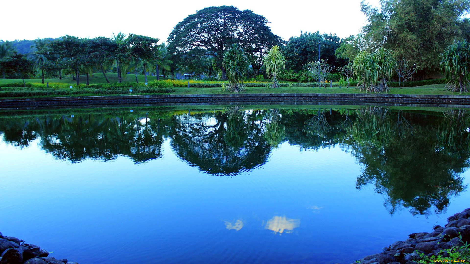 природа, парк, пруд, деревья