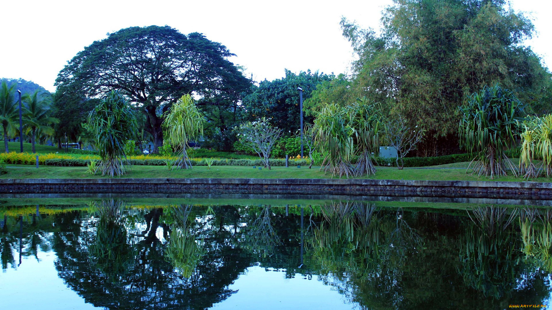 природа, парк, пруд, отражение