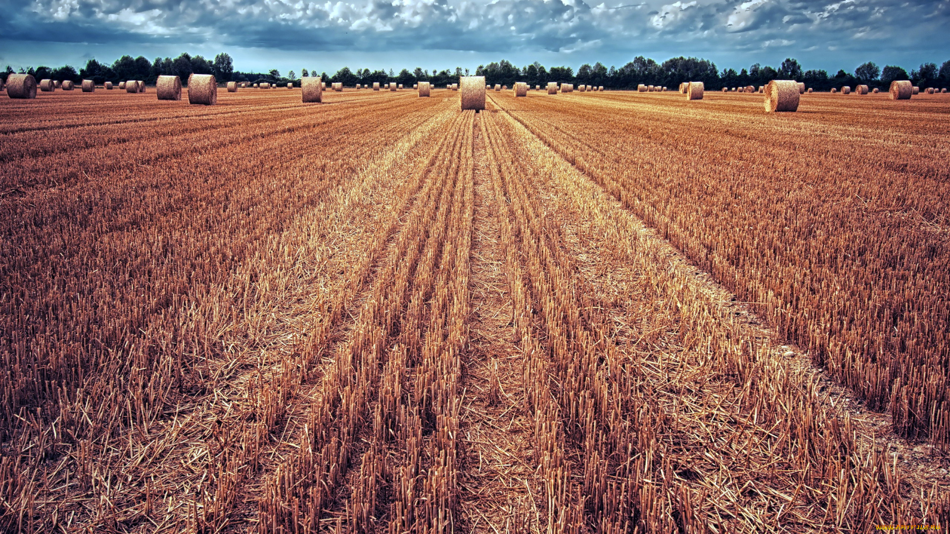 природа, поля, поле, стерня, стога
