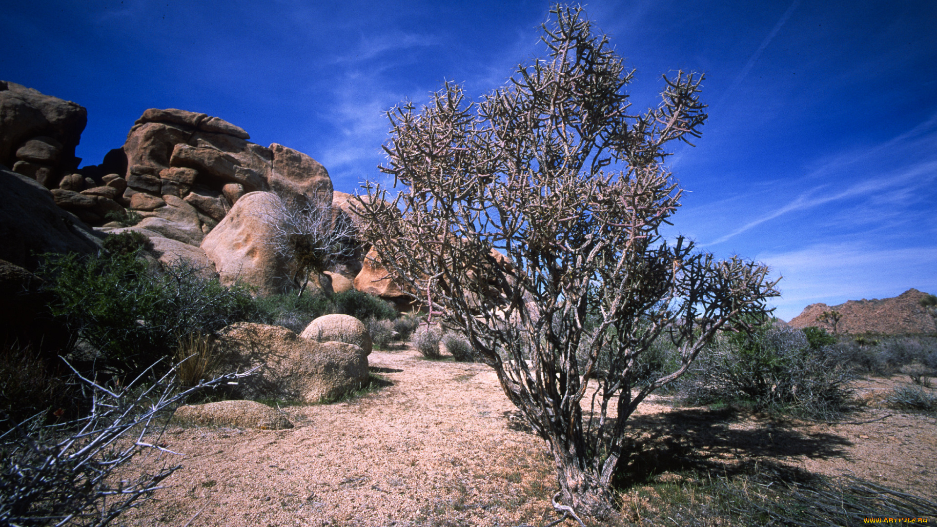 природа, пустыни, простор
