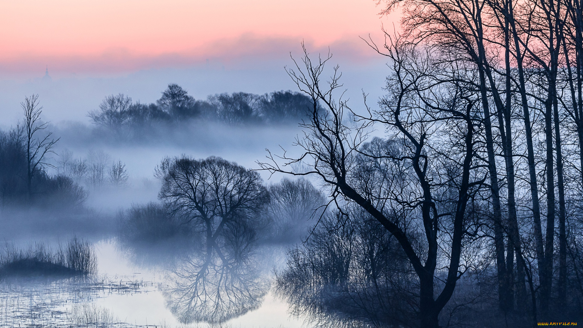 природа, реки, озера, деревья, ветки, туман