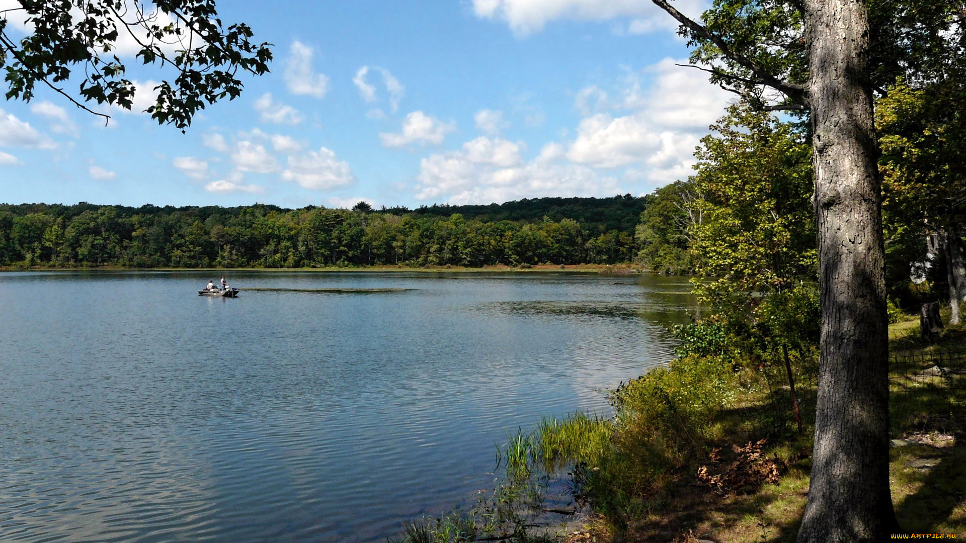 природа, реки, озера, лето, река