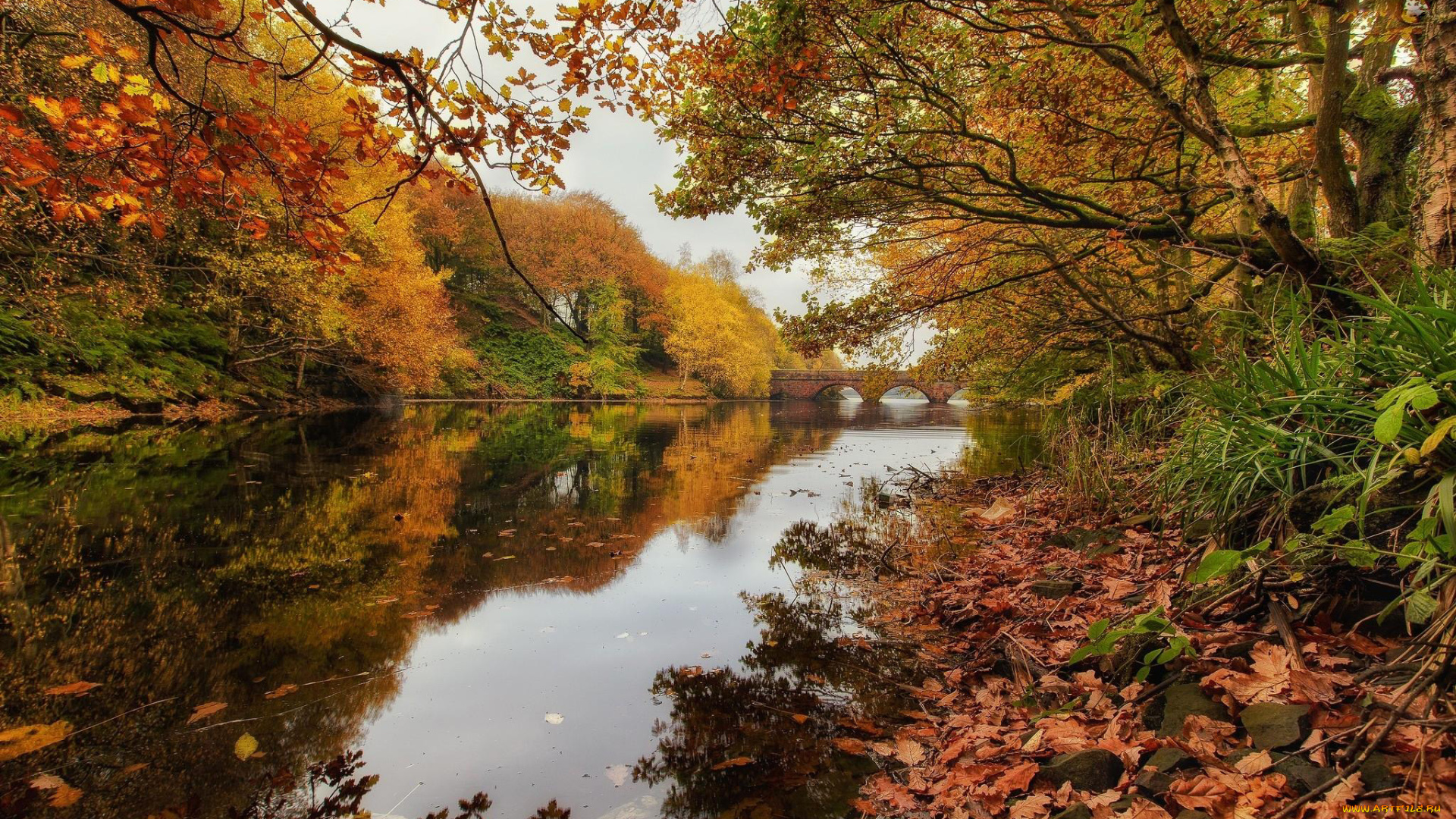 природа, реки, озера, осень, мостик