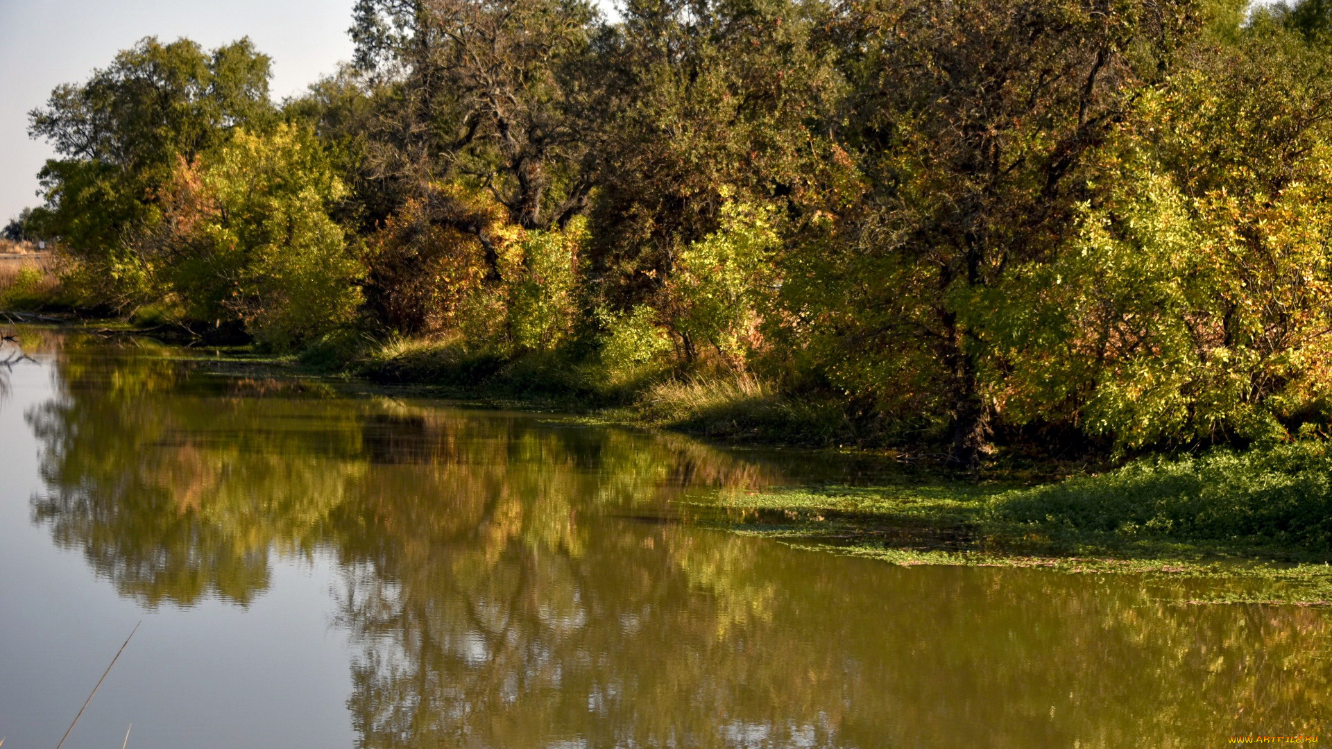 природа, реки, озера, отражение