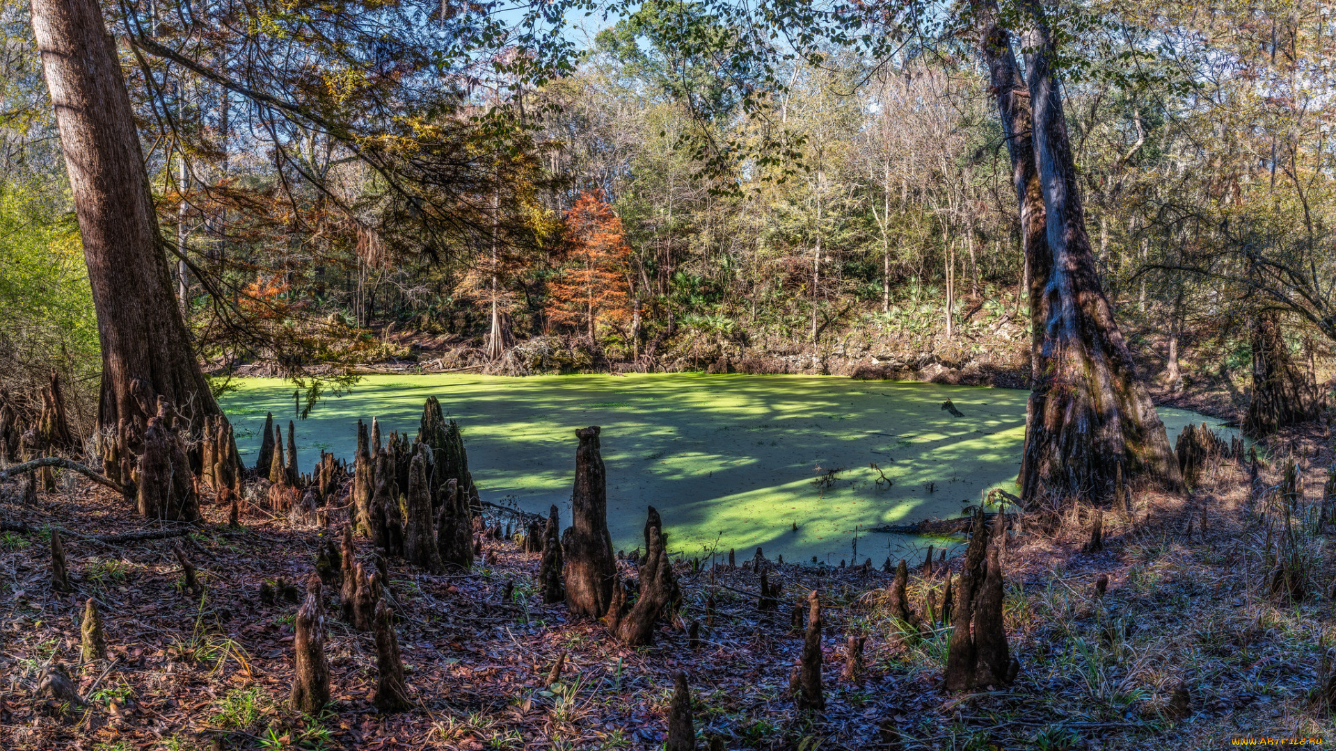 природа, реки, озера, простор