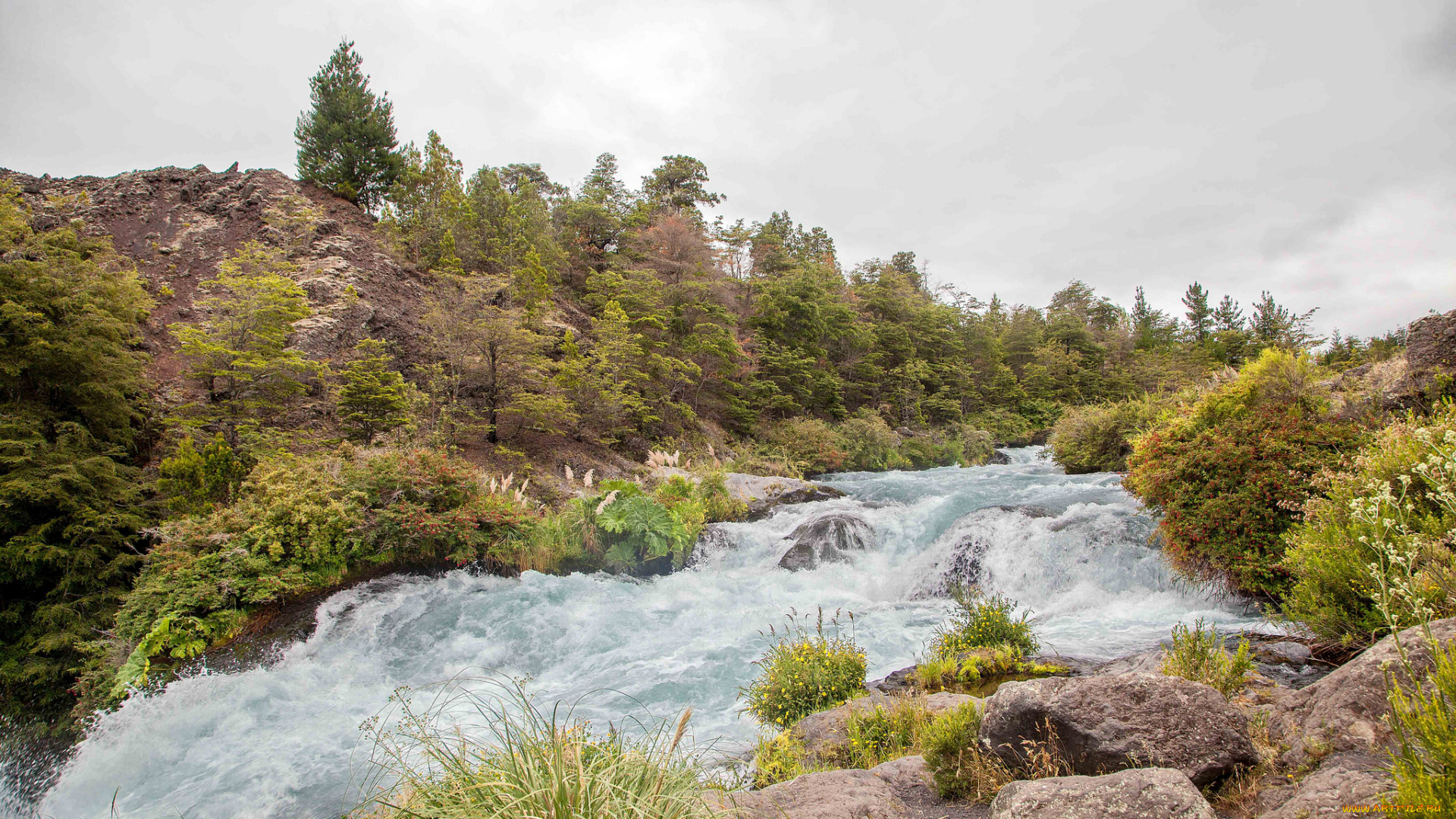 природа, реки, озера, простор