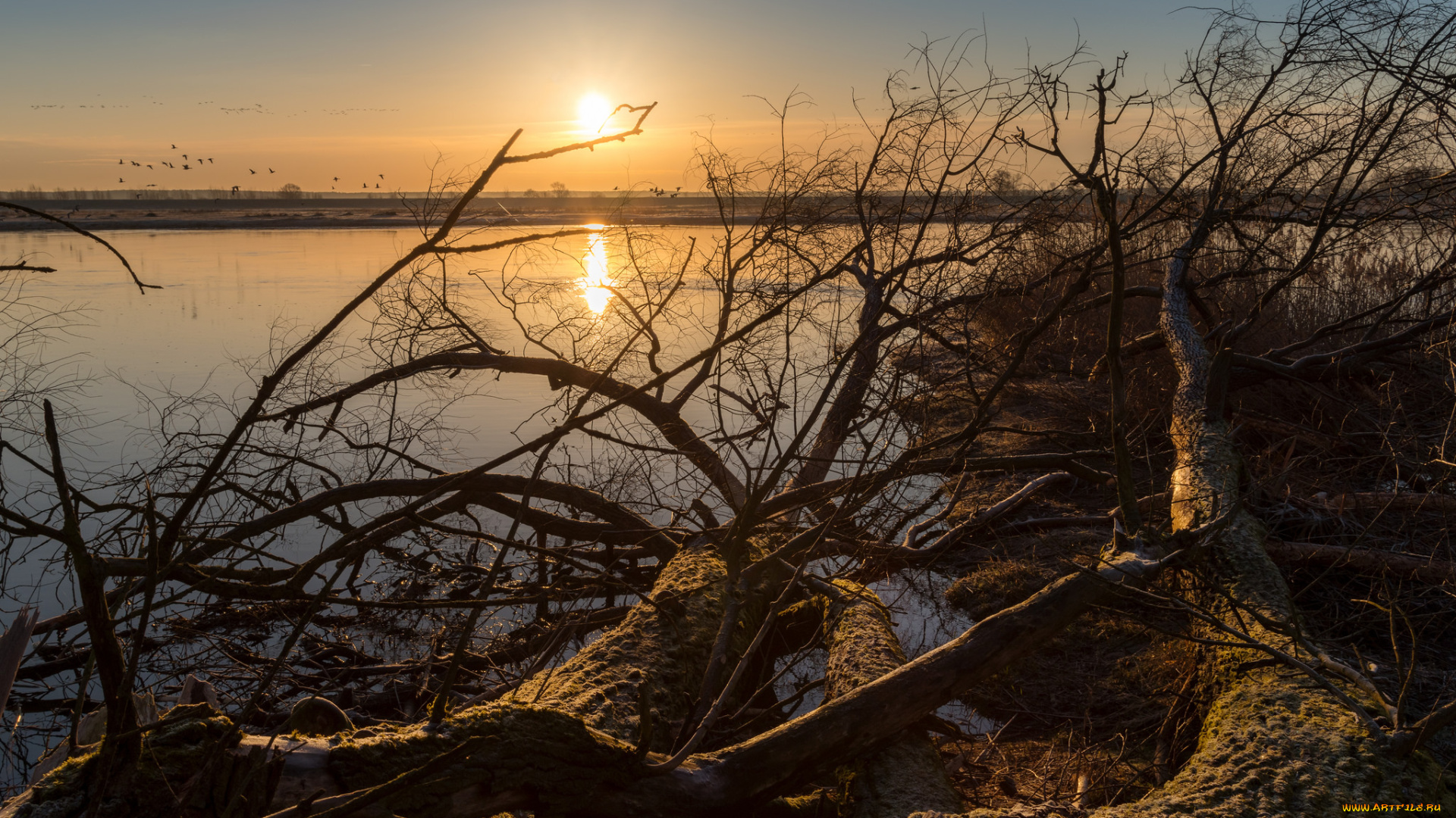 природа, восходы, закаты, простор