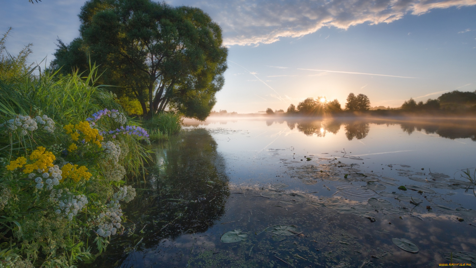 природа, восходы, закаты, трава, река, цветы, дерево, небо, вода