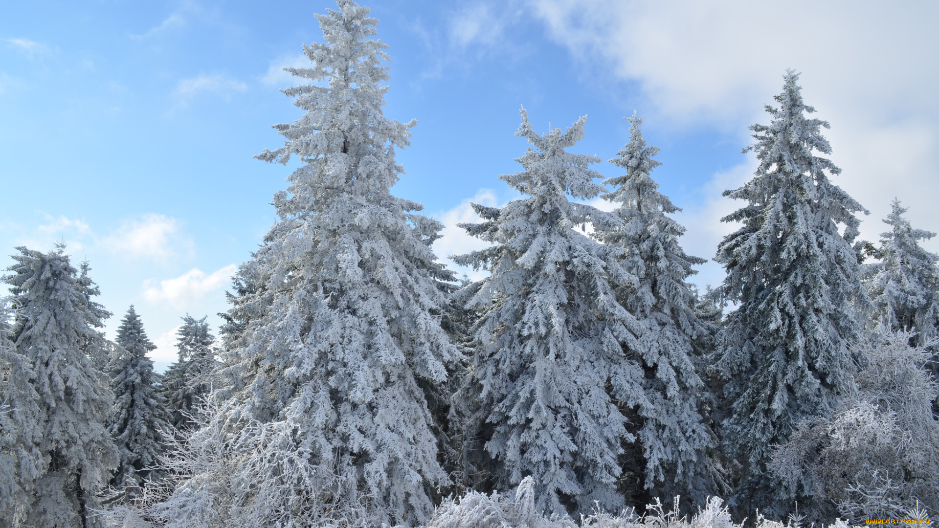 природа, зима, простор