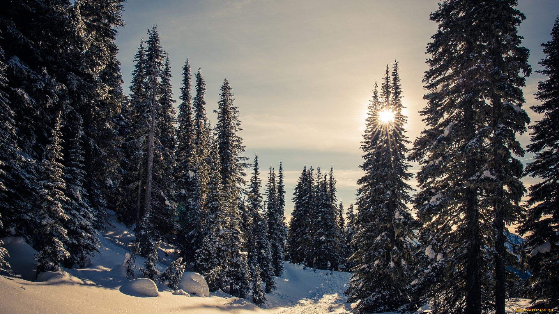 природа, зима, простор