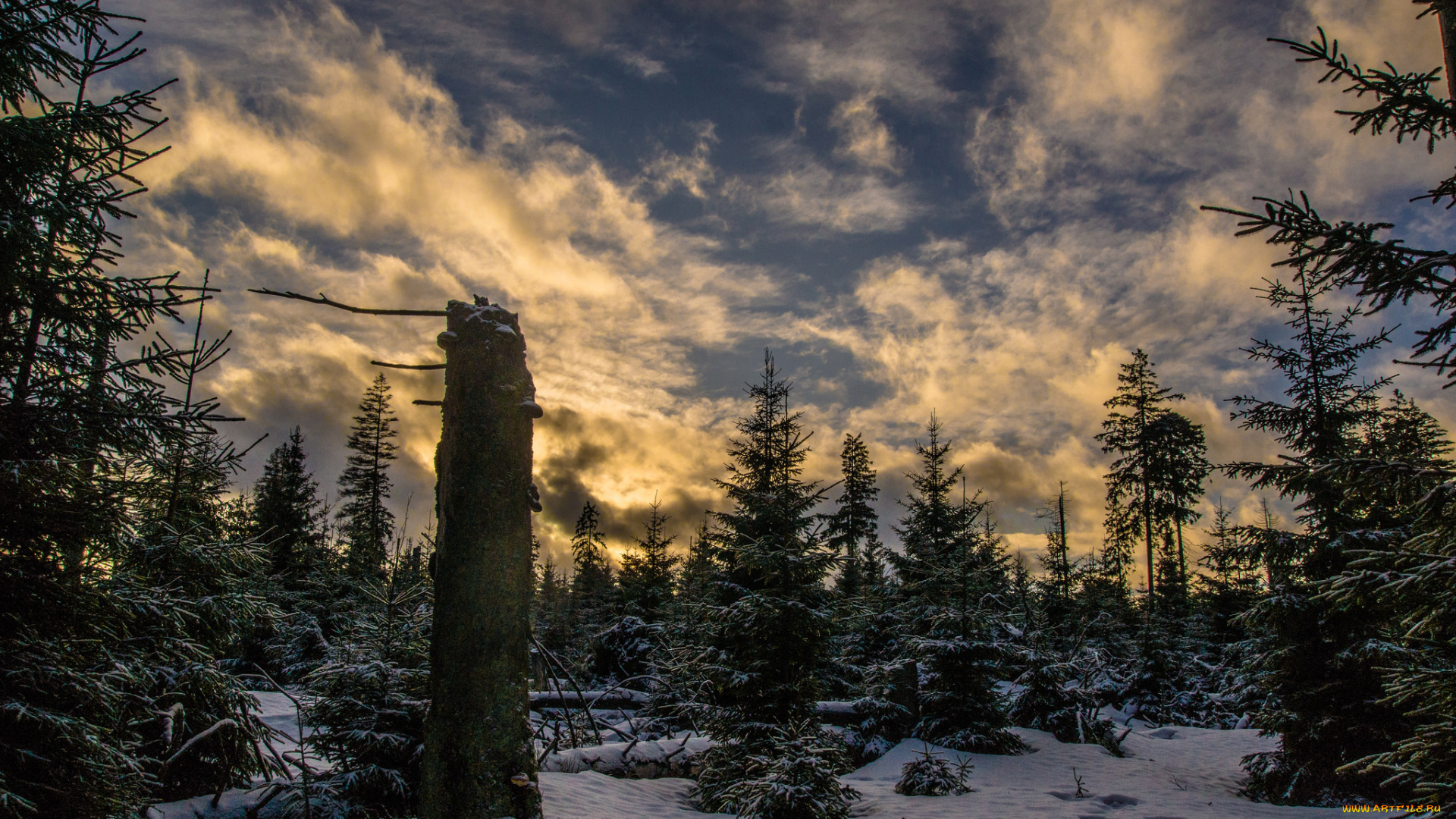 природа, зима, простор