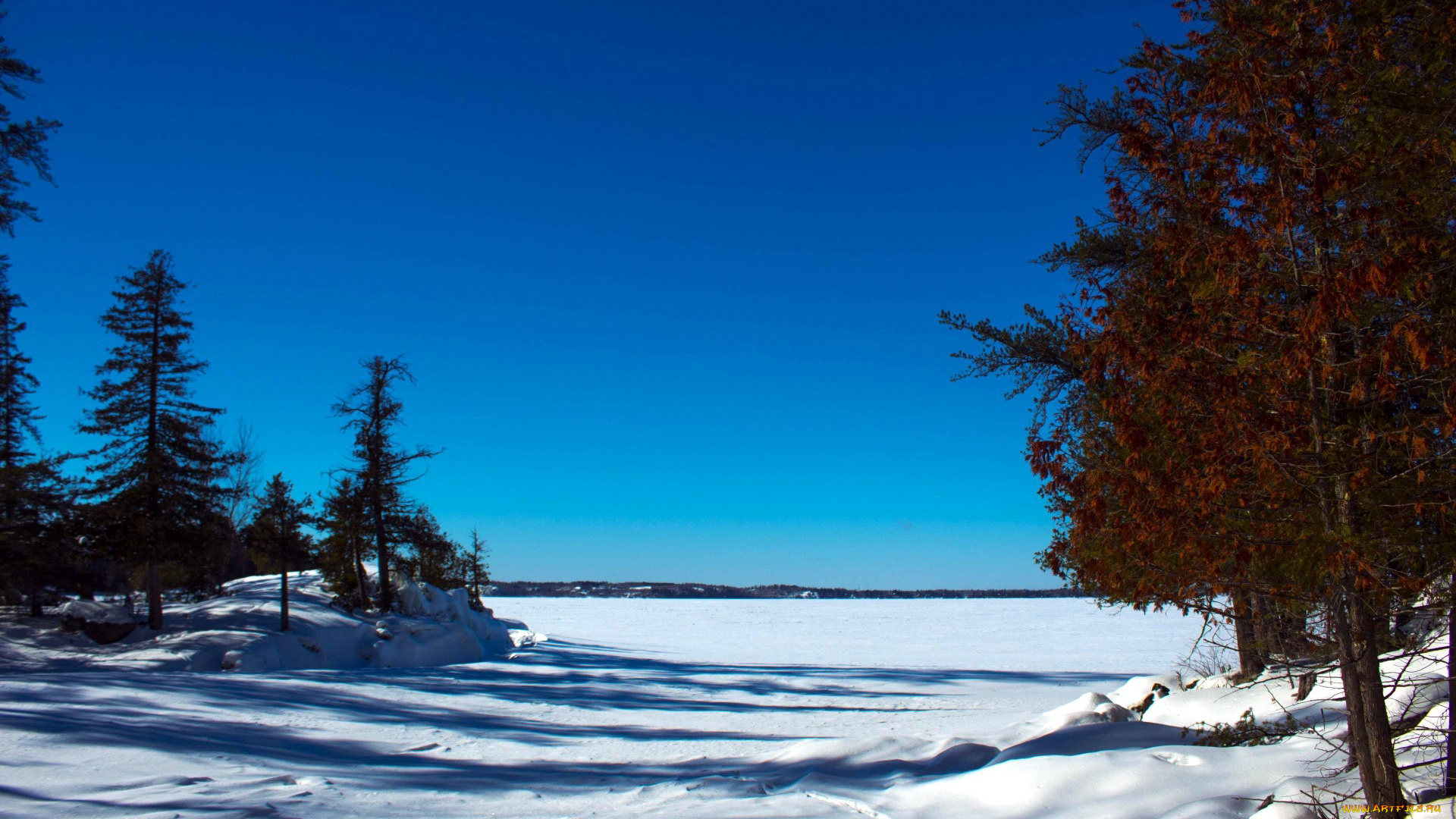 природа, зима, снег