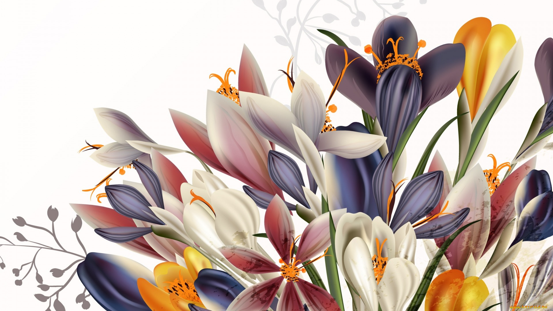 векторная, графика, цветы, , flowers, цветы, фон, текстура, вектор