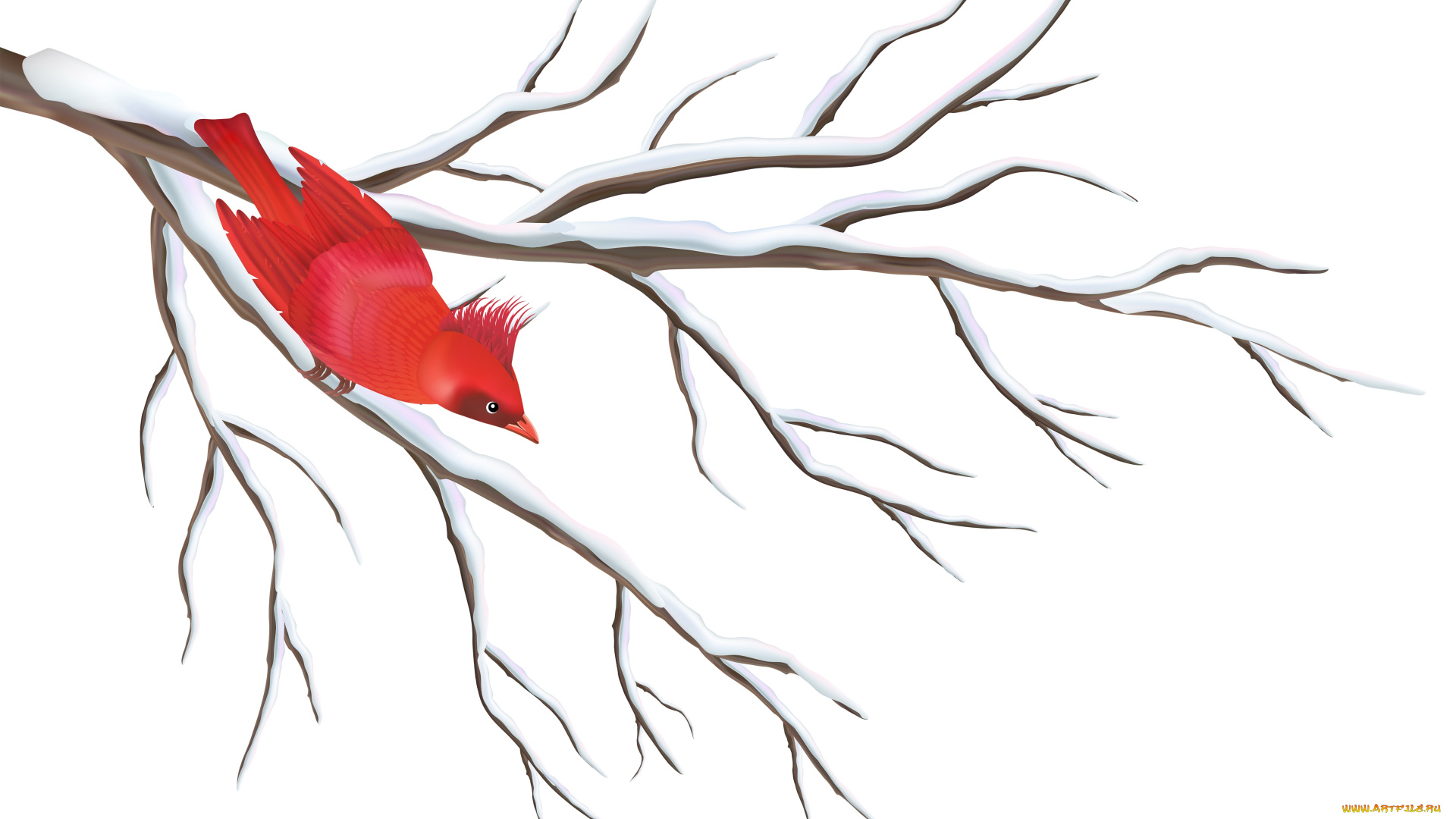 векторная, графика, животные, , animals, снег, ветка, птичка