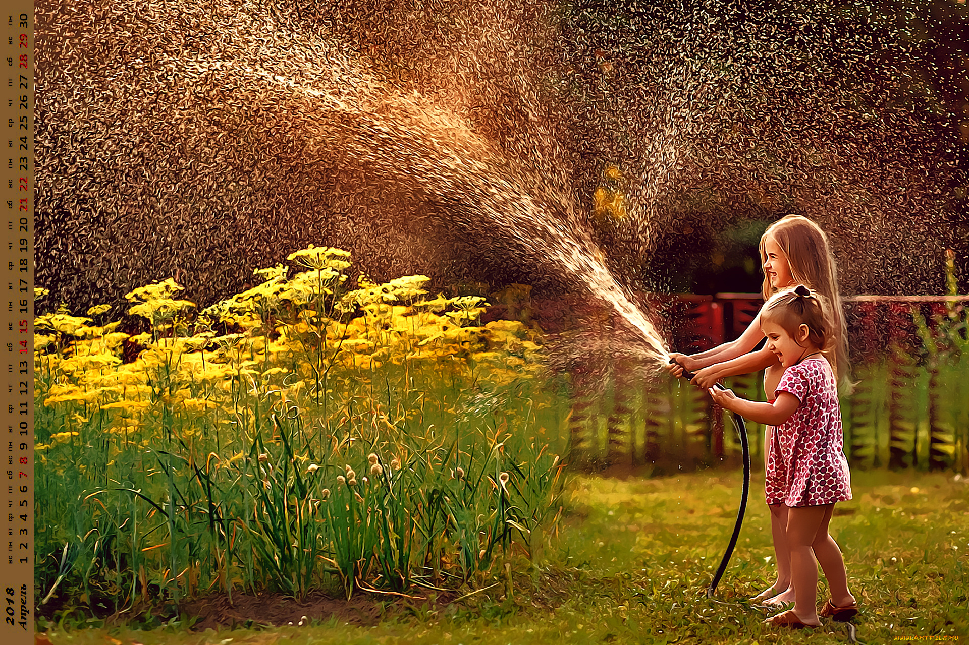 календари, компьютерный, дизайн, шланг, полив, вода, дети