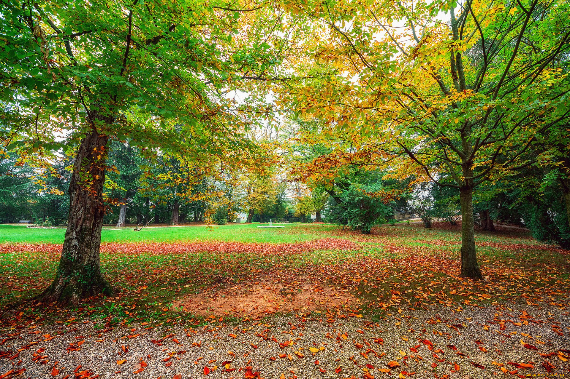 природа, парк, простор