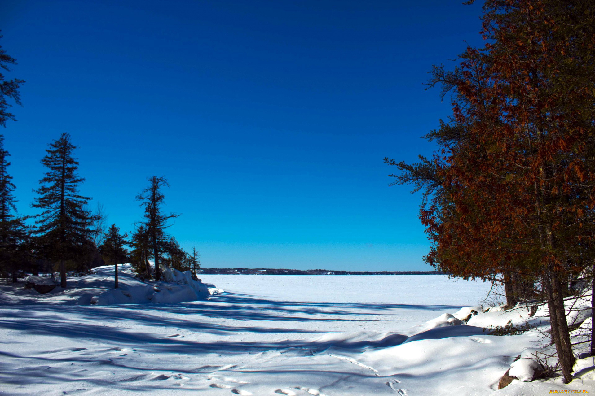 природа, зима, снег
