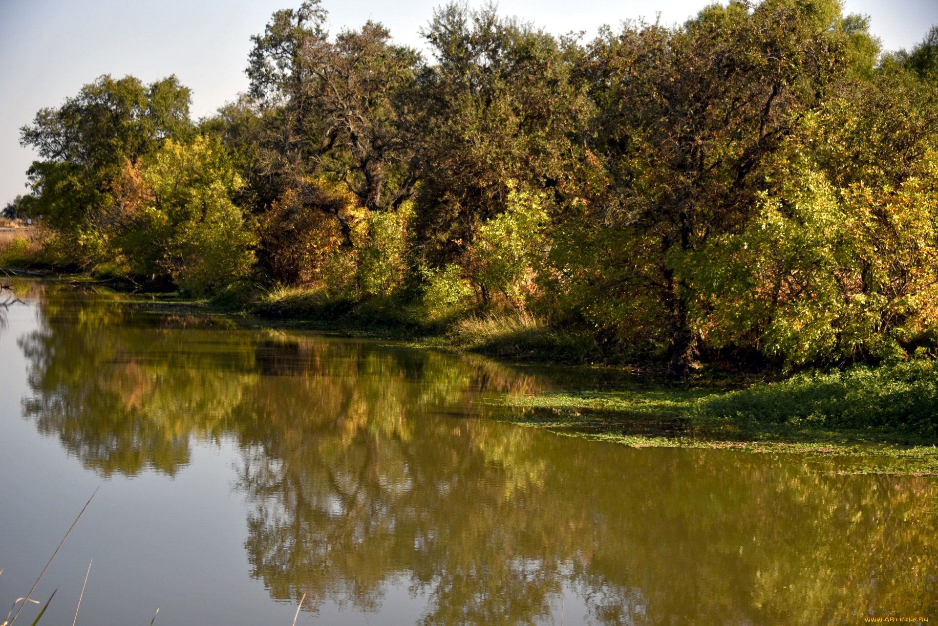 природа, реки, озера, отражение