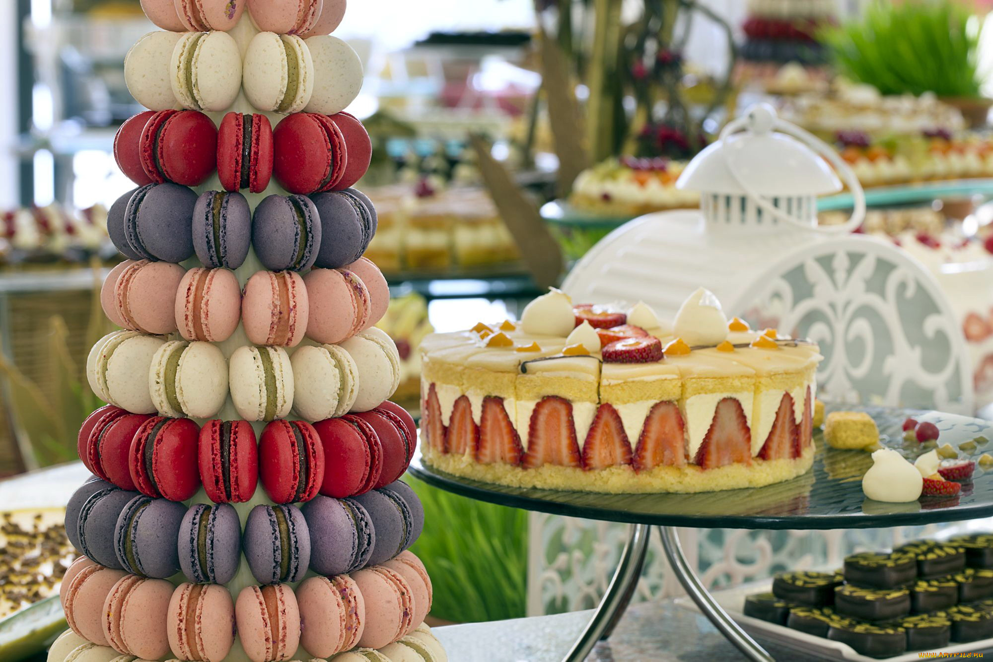 еда, макаруны, лакомство