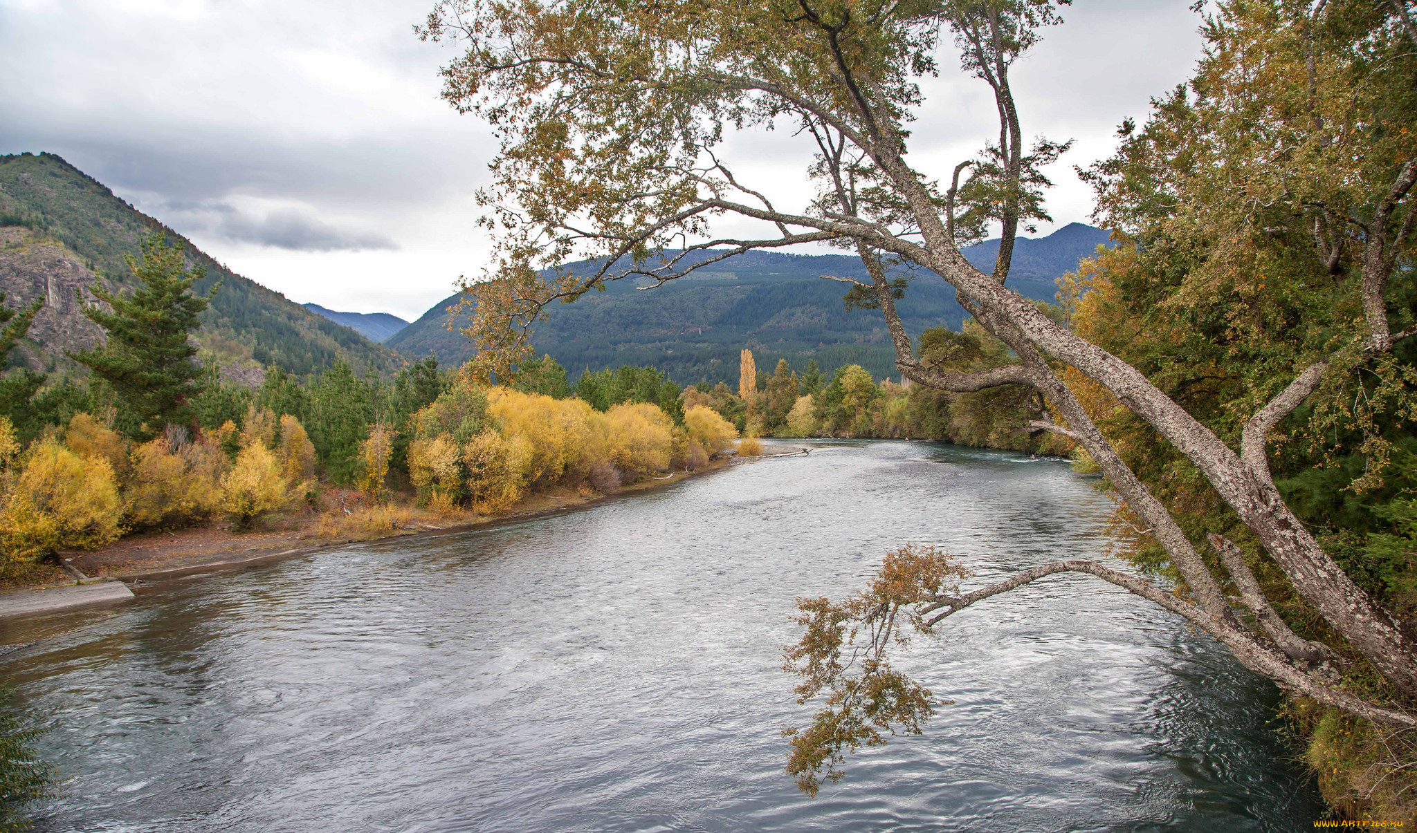 природа, реки, озера, простор